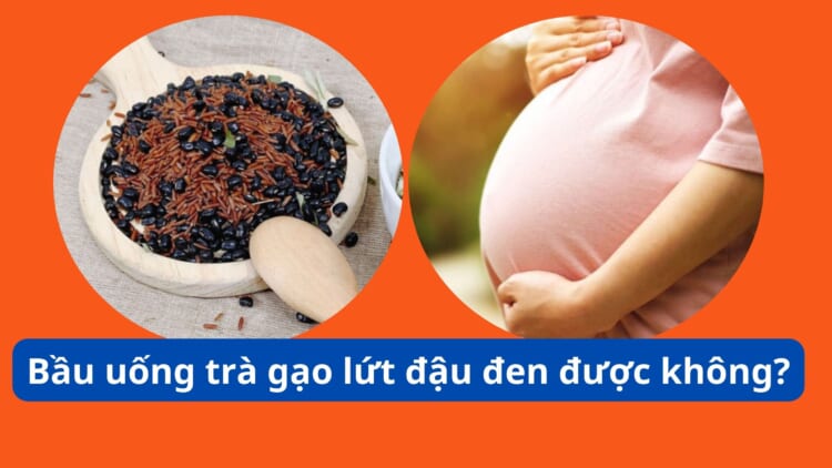 Bầu uống nước gạo rang được không?