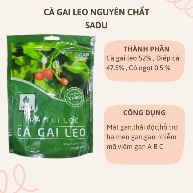 Review Trà Cà Gai Leo Sadu – Giải Pháp Thanh Lọc Gan Tối Ưu