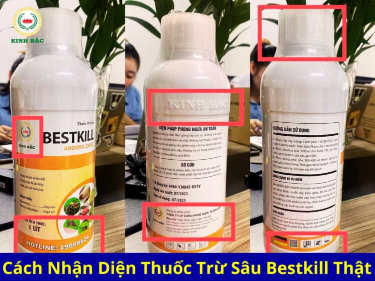 Hướng dẫn cách nhận biết phân biệt thuốc diệt côn trùng bestkill chính hãng và giả