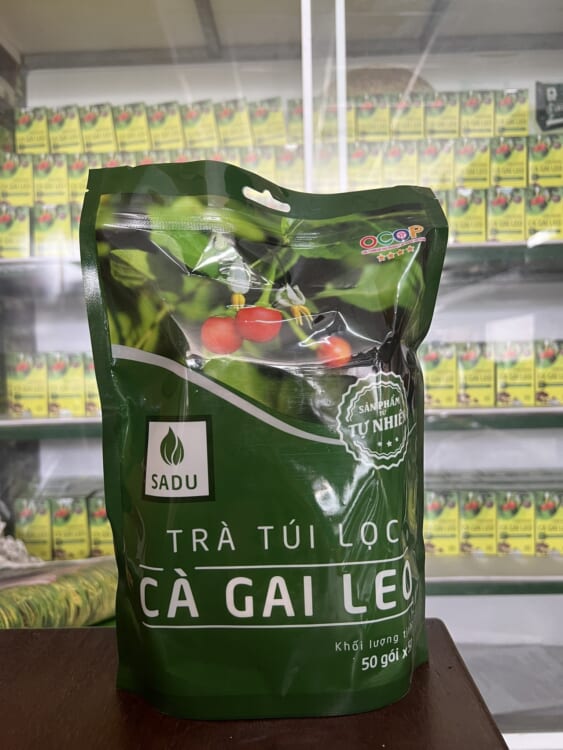 Review Trà Cà Gai Leo Sadu – Giải Pháp Thanh Lọc Gan Tối Ưu