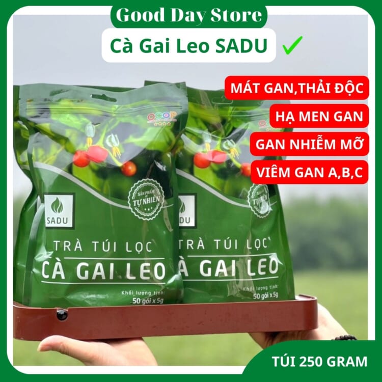 Review Trà Cà Gai Leo Sadu – Giải Pháp Thanh Lọc Gan Tối Ưu