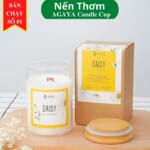 Nến thơm agaya candle cup (49)