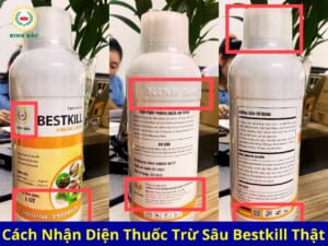 Thuốc Diệt Nhện Đỏ Bestkill